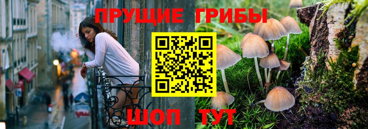 Псилоцибиновые грибы GOLDEN TEACHER Бугуруслан